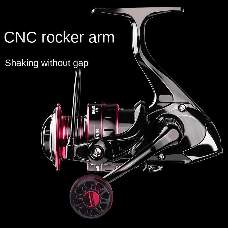 ບິນຫາປາ Reel